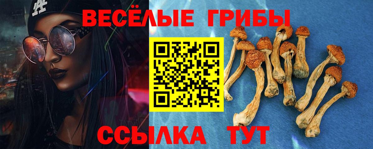 купить наркотики сайты  Галлюциногенные грибы мухоморы  Вход с VPN  Сорочинск 